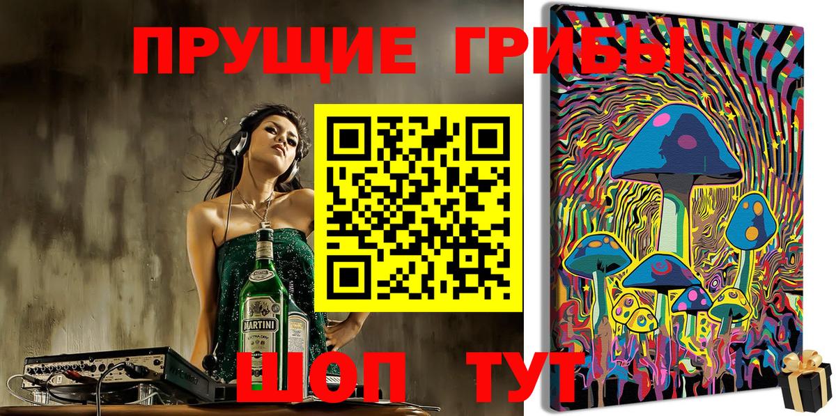 Псилоцибиновые грибы GOLDEN TEACHER  Вход с VPN  Балтийск 