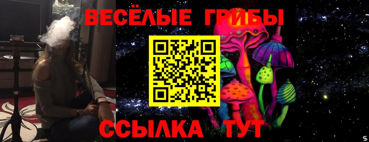 Галлюциногенные грибы Cubensis Балтийск